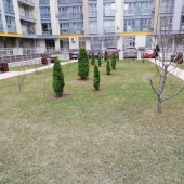 хороший двор внутри