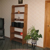 Большая комната в квартире на Литовском бульваре