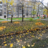 Двор 1