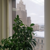 Вид из окна