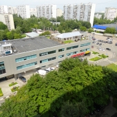 Достаточно зеленый массив