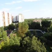 Вид из окна на зеленый двор