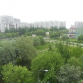 Вид из окон - на зеленый двор