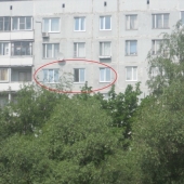 Кружком помечена наша квартира, выставленная на продажу 