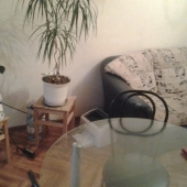 Фото стола и дивана в квартире на Озерной улице с другого ракурса