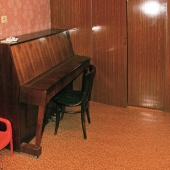 Там же есть пианино, если кому-то надо) вдруг кто-то, снимая дом в Баковке, захочет поиграть