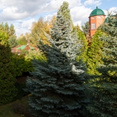 Ландшафт на участке