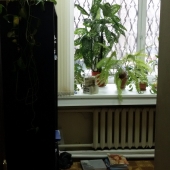 Можно и под обычный бизнес снять помещения